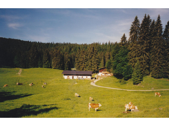 Links Menken-, rechts Sulzenkaser