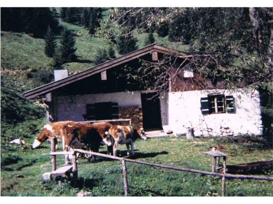 Bayreralm vor Umbau mit Milchkammer rechts neben dem Eingang