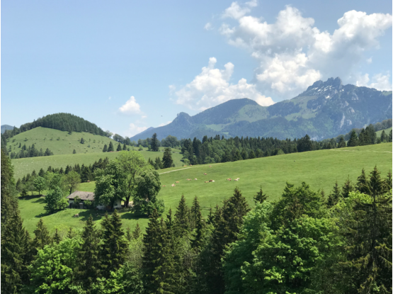 Schmiedalm Ansicht von Westen 2019