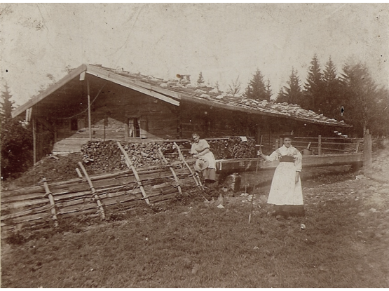 um 1900 Holzzaun Dach mit Legschindeln