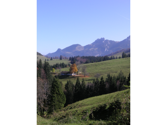 Herbststimmung, Blick von Westen