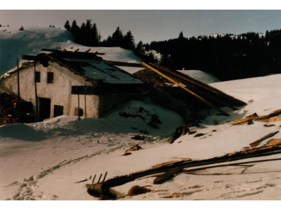 Sturmschaden 21. Dez. 1991