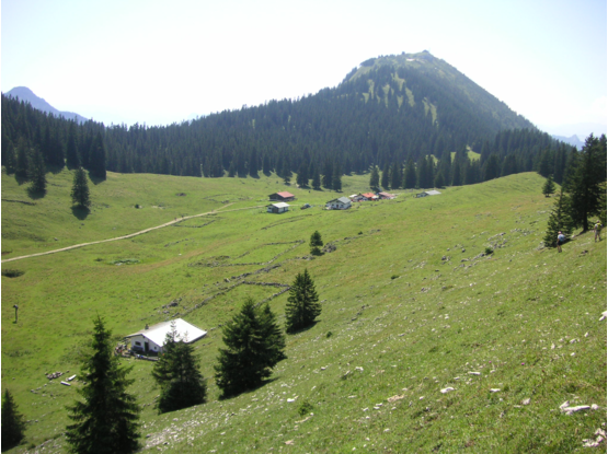 Riesenalm mit Blick zur Hochries, 2009