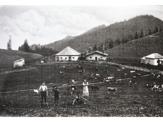 Hofalm um 1912, Stallgebäude noch mit Walmdach