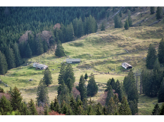 2009 Blick vom Heuraffelkopf auf die Ellandalm