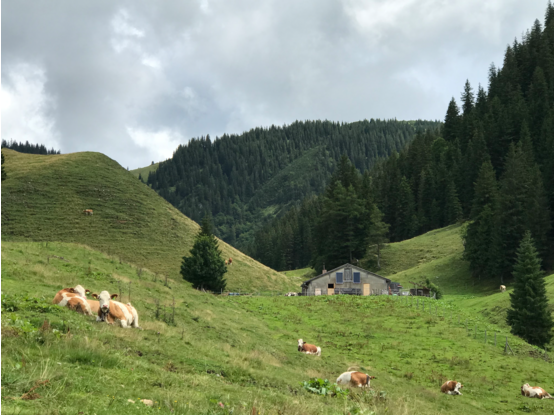 Ansicht von Westen 2021