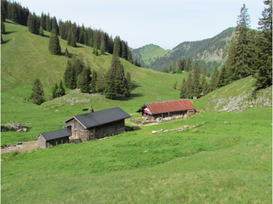 Foto von 2011 Richtung Hochries und (rechts) Karkopf